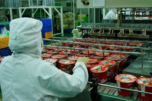 四川白家食品A轮融资1.1亿元 疫情之下方便食品行业迎来新机遇