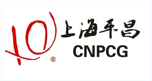 上海平昌投资管理 专业投资管理的卓越实践